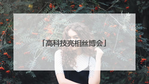 高科技亮相丝博会