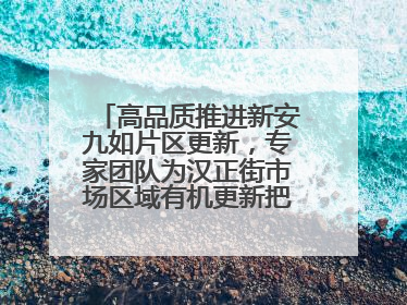 高品质推进新安九如片区更新，专家团队为汉正街市场区域有机更新把脉问诊