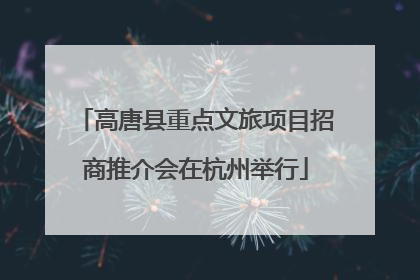 高唐县重点文旅项目招商推介会在杭州举行