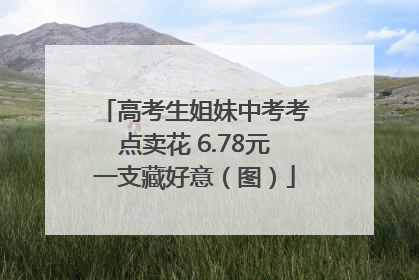 高考生姐妹中考考点卖花 6.78元一支藏好意（图）