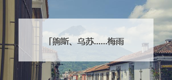 齁斯、乌苏……梅雨天要来了么？除湿机赶紧安排上｜申评测