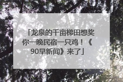 龙泉的千亩梯田想奖你一晚民宿一只鸡！《90早新闻》来了