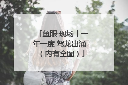 鱼眼·现场丨一年一度 驾龙出涌（内有全图）