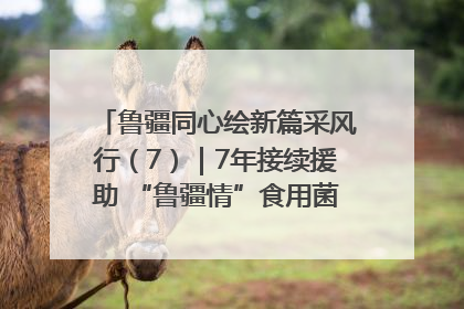 鲁疆同心绘新篇采风行（7）｜7年接续援助 “鲁疆情”食用菌从1.0走向4.0