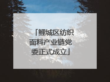 鲤城区纺织面料产业链党委正式成立