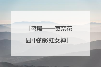 鸢尾——莫奈花园中的彩虹女神