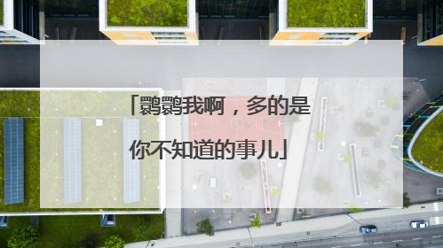 鹮鹮我啊，多的是你不知道的事儿