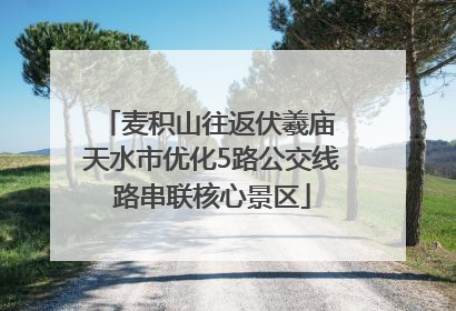 麦积山往返伏羲庙 天水市优化5路公交线路串联核心景区