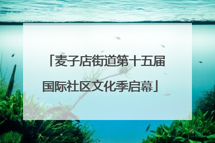 麦子店街道第十五届国际社区文化季启幕