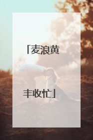 麦浪黄 丰收忙