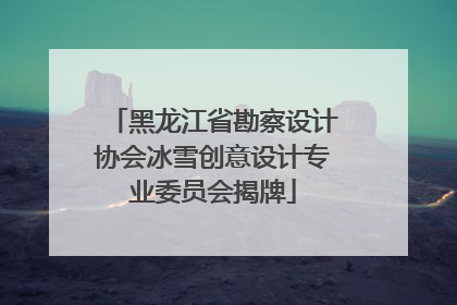 黑龙江省勘察设计协会冰雪创意设计专业委员会揭牌