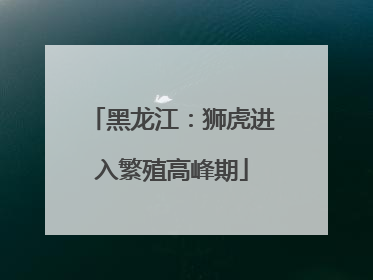黑龙江：狮虎进入繁殖高峰期