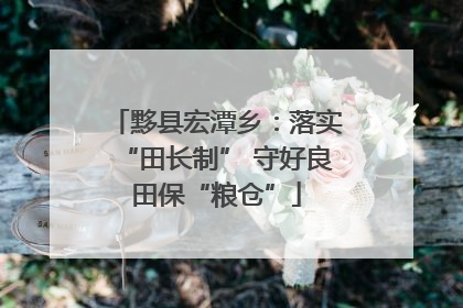 黟县宏潭乡：落实“田长制” 守好良田保“粮仓”