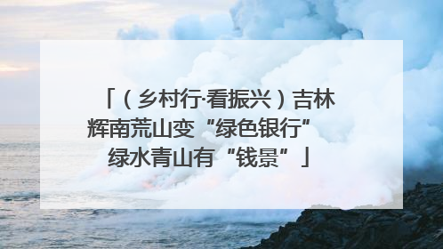 （乡村行·看振兴）吉林辉南荒山变“绿色银行” 绿水青山有“钱景”