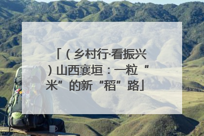 （乡村行·看振兴）山西襄垣：一粒“米”的新“稻”路