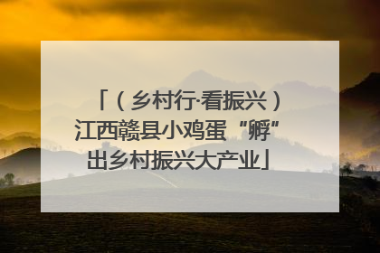 （乡村行·看振兴）江西赣县小鸡蛋“孵”出乡村振兴大产业