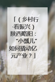 （乡村行·看振兴）陕西略阳：“小瓢儿”如何撬动亿元产业？