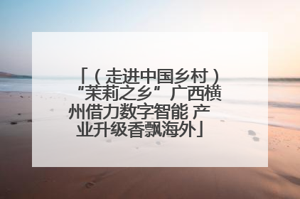 （走进中国乡村）“茉莉之乡”广西横州借力数字智能 产业升级香飘海外