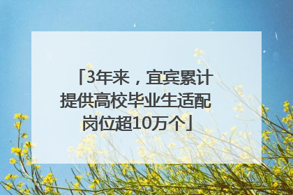3年来，宜宾累计提供高校毕业生适配岗位超10万个