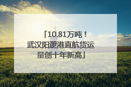 10.81万吨！武汉阳逻港直航货运量创十年新高