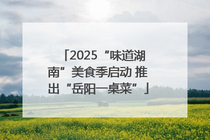 2025“味道湖南”美食季启动 推出“岳阳一桌菜”