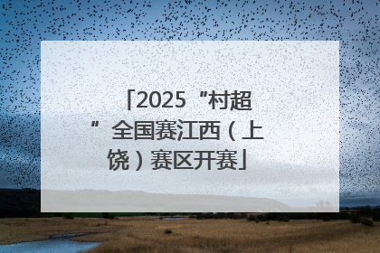2025“村超”全国赛江西（上饶）赛区开赛