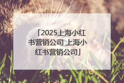 2025上海小红书营销公司 上海小红书营销公司