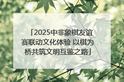 2025中非象棋友谊赛联动文化体验 以棋为桥共筑文明互鉴之路