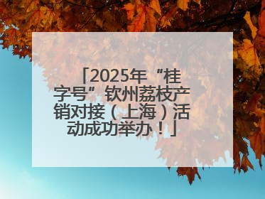2025年“桂字号”钦州荔枝产销对接（上海）活动成功举办！