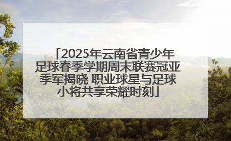 2025年云南省青少年足球春季学期周末联赛冠亚季军揭晓 职业球星与足球小将共享荣耀时刻
