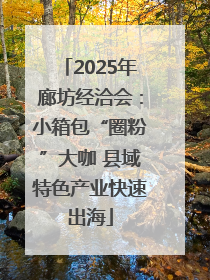 2025年廊坊经洽会：小箱包“圈粉”大咖 县域特色产业快速出海