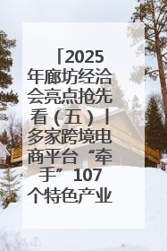 2025年廊坊经洽会亮点抢先看（五）丨多家跨境电商平台“牵手”107个特色产业集群