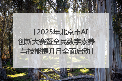 2025年北京市AI创新大赛暨全民数字素养与技能提升月全面启动