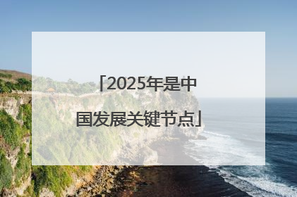 2025年是中国发展关键节点