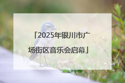 2025年银川市广场街区音乐会启幕