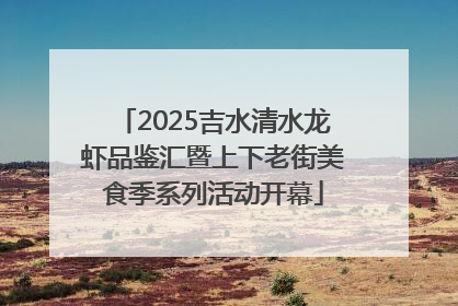 2025吉水清水龙虾品鉴汇暨上下老街美食季系列活动开幕