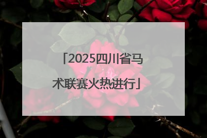 2025四川省马术联赛火热进行