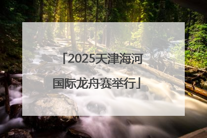 2025天津海河国际龙舟赛举行