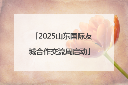 2025山东国际友城合作交流周启动