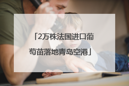 2万株法国进口葡萄苗落地青岛空港
