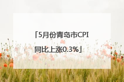 5月份青岛市CPI同比上涨0.3%