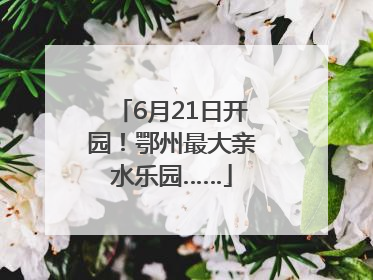 6月21日开园！鄂州最大亲水乐园……