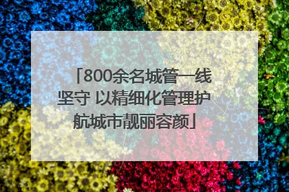 800余名城管一线坚守 以精细化管理护航城市靓丽容颜