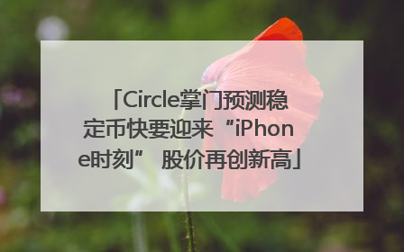 Circle掌门预测稳定币快要迎来“iPhone时刻” 股价再创新高