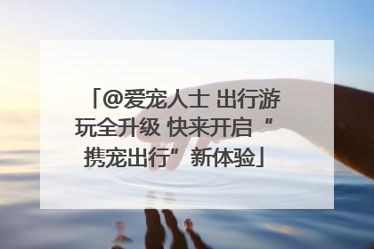 @爱宠人士 出行游玩全升级 快来开启“携宠出行”新体验