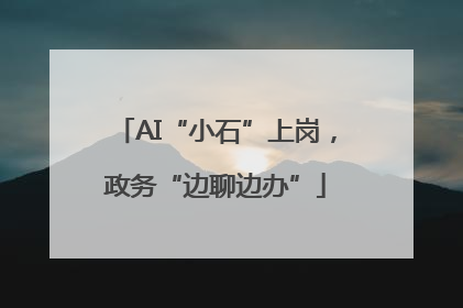 AI“小石”上岗，政务“边聊边办”