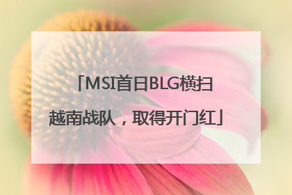 MSI首日BLG横扫越南战队，取得开门红