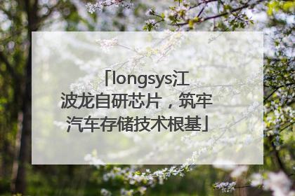 longsys江波龙自研芯片，筑牢汽车存储技术根基